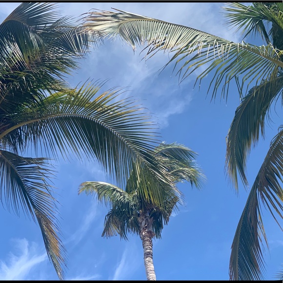 Meet your Posher, Ashley - Picture 1 of 1